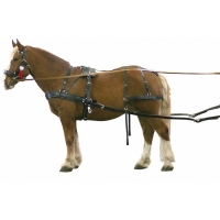 Европейская упряжь для лошади. Конская упряж. Упряжь постромочно дышловая. Европейская упряжь для лошади. Беговая упряжь рысаков.